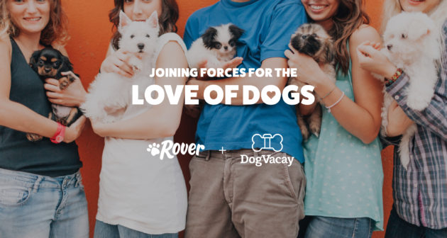 Rover and DogVacay