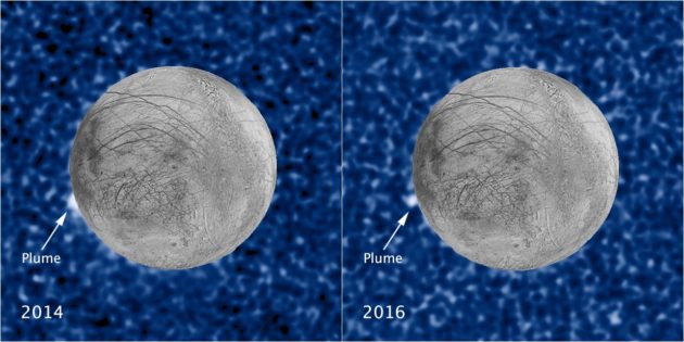 Europa plumes