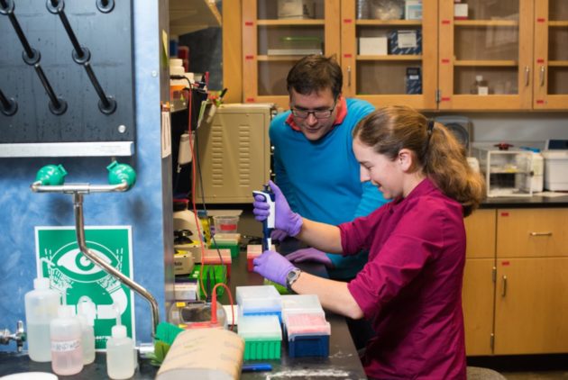Ceze and Organick in DNA lab