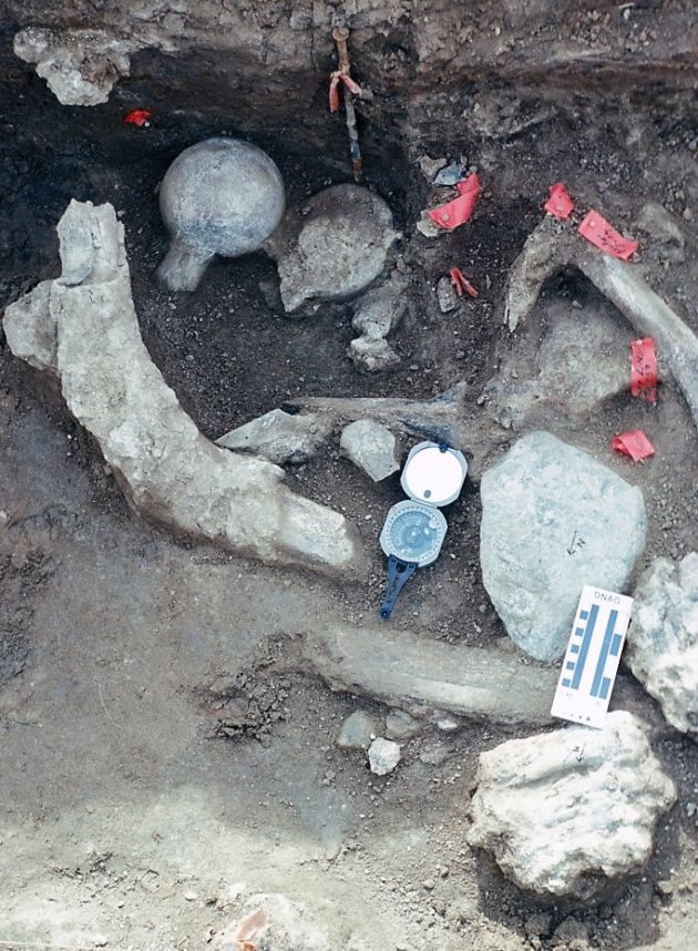 Rocks and bones at mastodon site