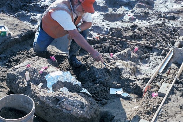 Evidence of ancient humans in San Diego