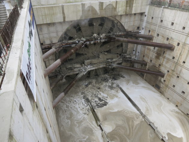 Bertha