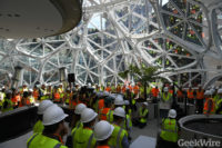 Amazon Spheres