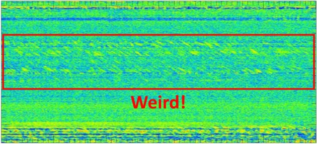 Weird Signal at Arecibo