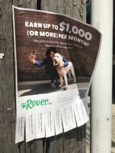 Rover.com flyer