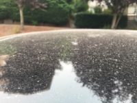 Ash on automobile roof