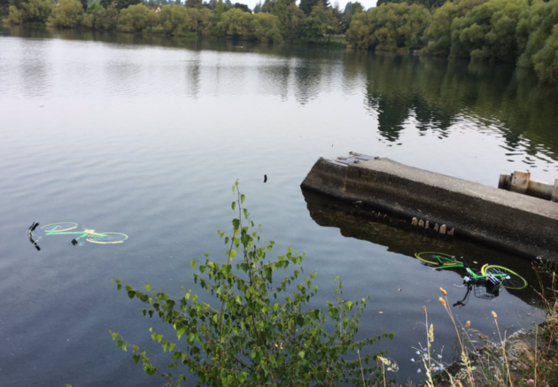 LimeBikes lake