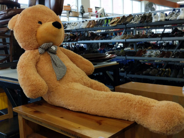 Long legged Teddy bear