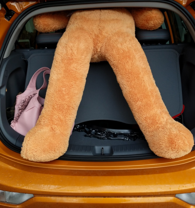 Amazon Teddy bear