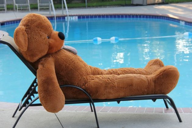 Joyfay Teddy bear
