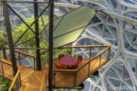 Amazon Spheres