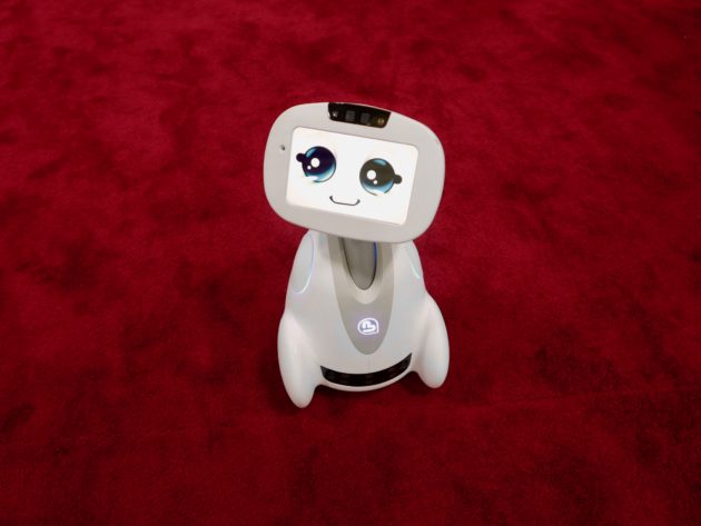 Buddy robot