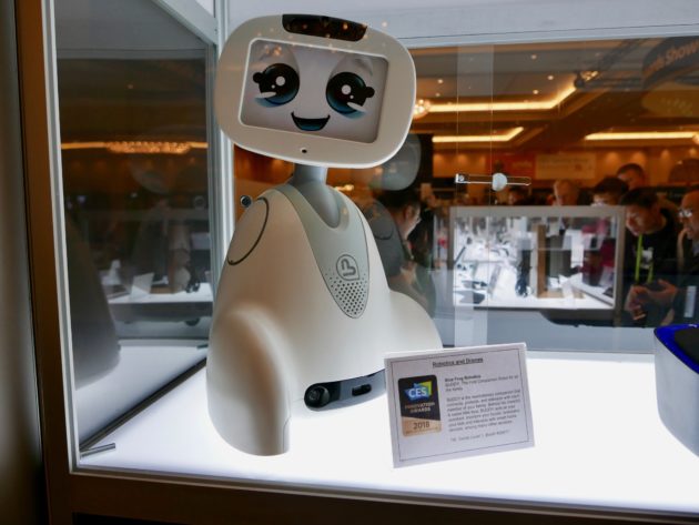 Buddy robot