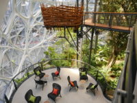 Amazon Spheres