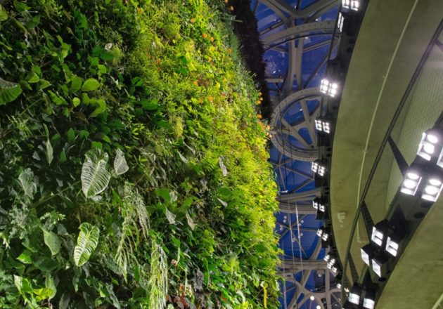Amazon Spheres