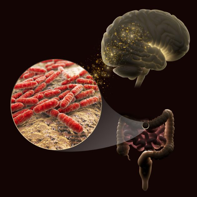 Microbiome and brain function