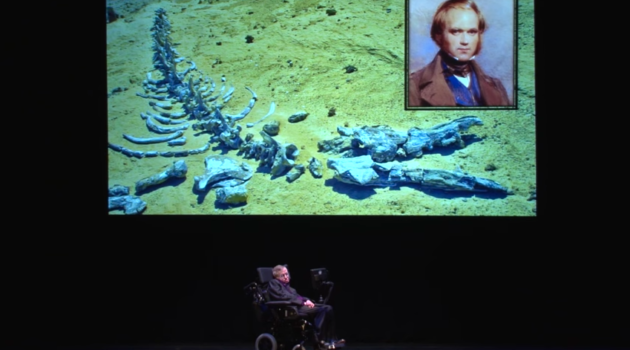 Stephen Hawking