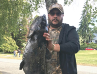 big catfish
