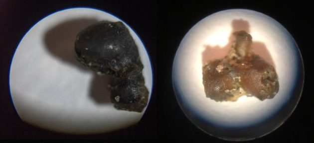 Fusion crust fragments