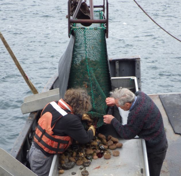 Trawling net