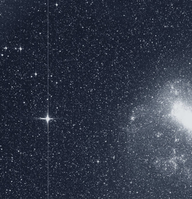 TESS sky image