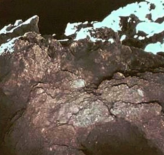 Ryugu's surface