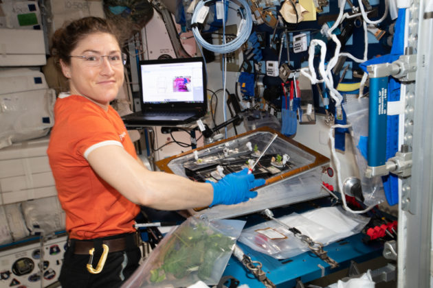NASA astronaut Christina Koch