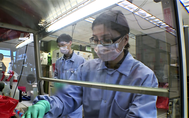 Coronavirus test lab