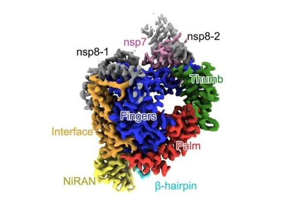 Protein structure