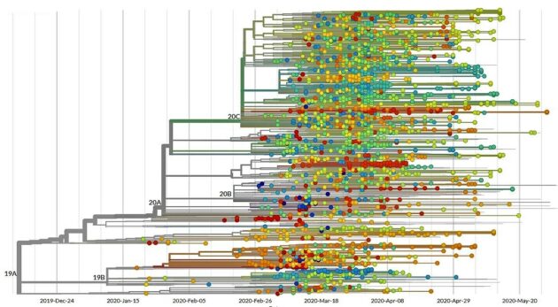Evolution of coronavirus in U.S.