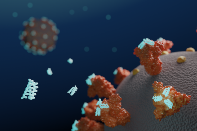 Virus with mini-binders
