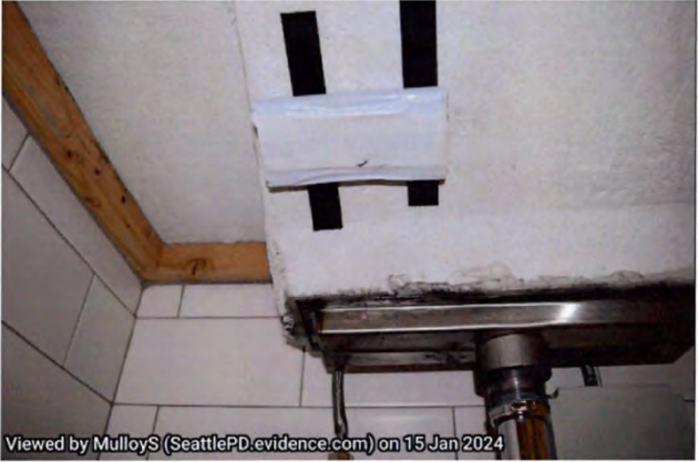 Alleged spy camera.
