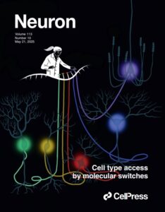 Neuron cover illustration showing a scientist working switches to control several brain cells 